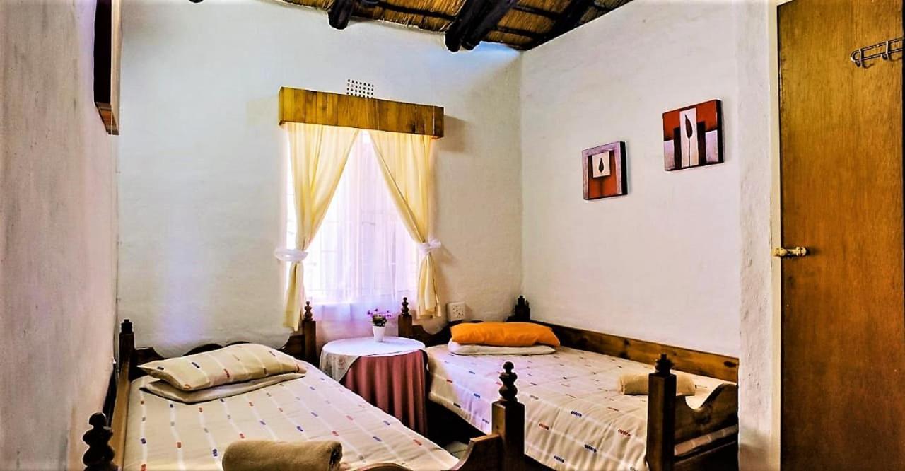 Viewpoint Lodge & Safari Tours Гейзівью Екстер'єр фото